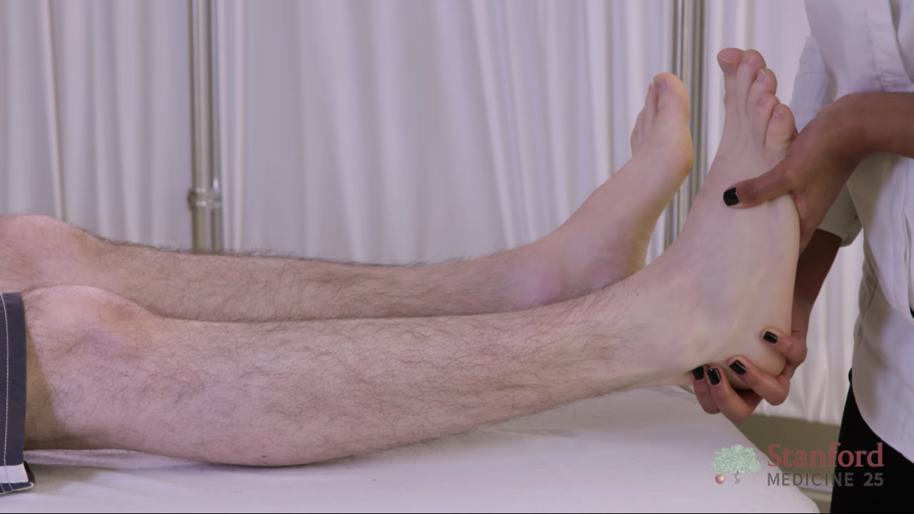 Ankle and Foot Exam, Stanford Medicine 25