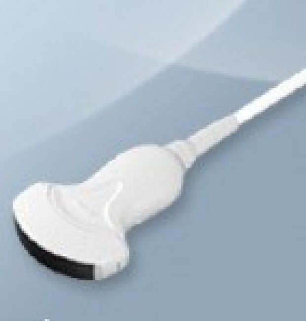 Example of a curvilinear probe for an ultrasound machine